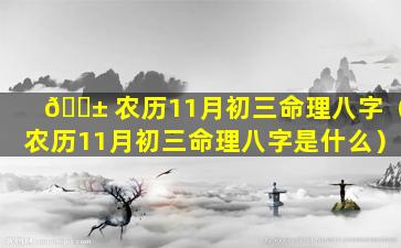 🐱 农历11月初三命理八字（农历11月初三命理八字是什么）